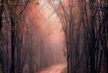 西班牙人队近期有哪些关键动态?阵容、赛事与引援都有新变化?